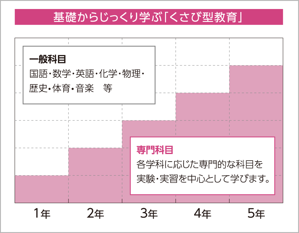 基礎からじっくり学ぶ「くさび型教育」