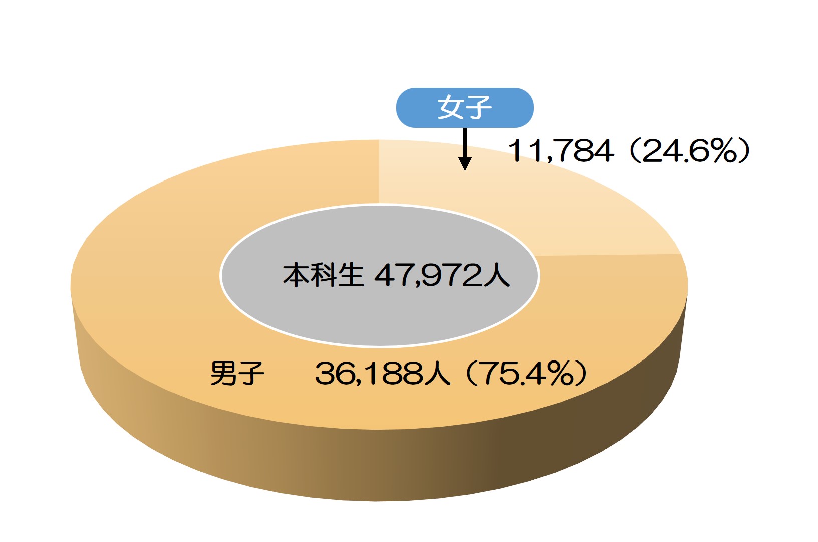 本科生数