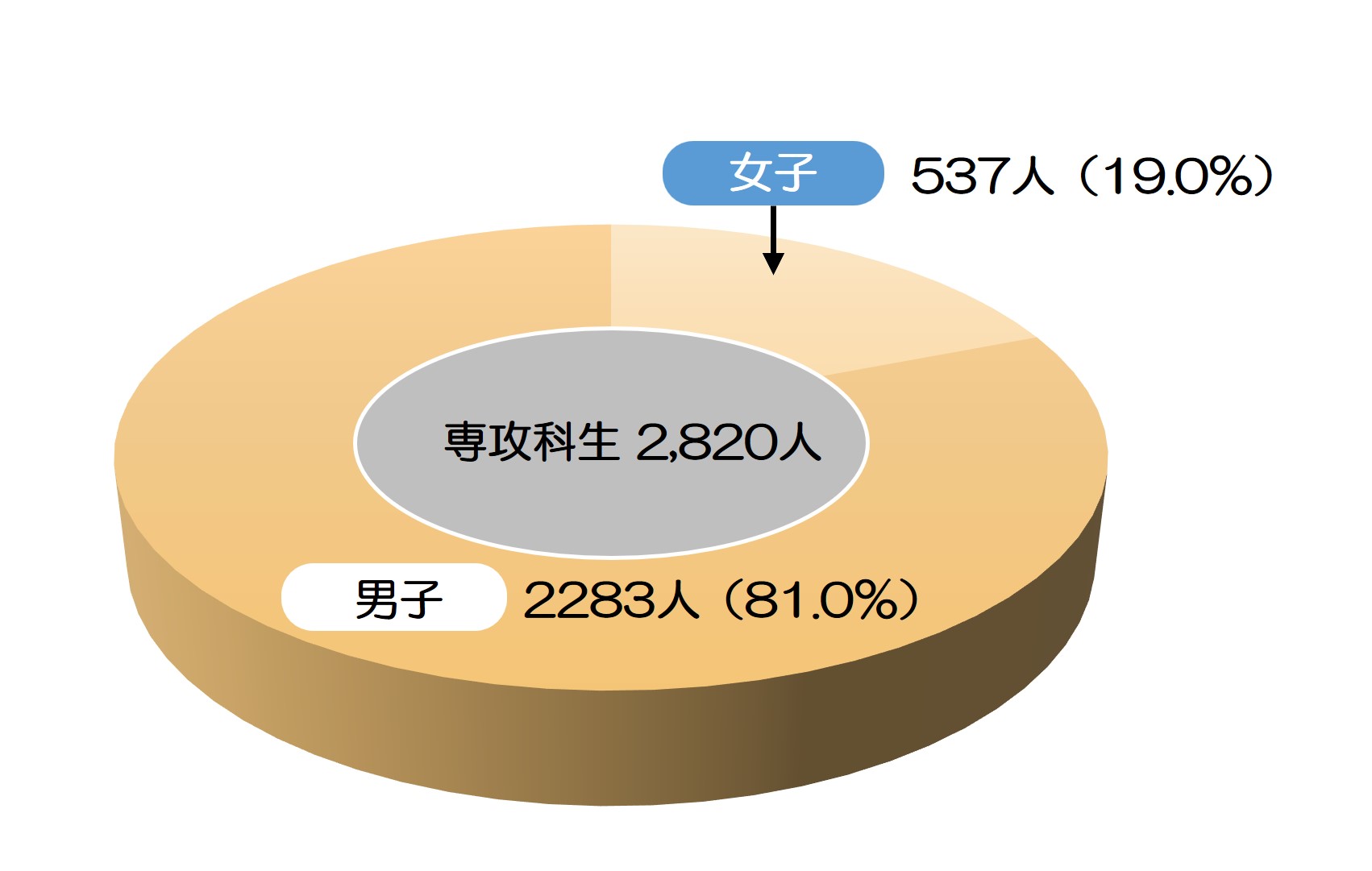 専攻科生数